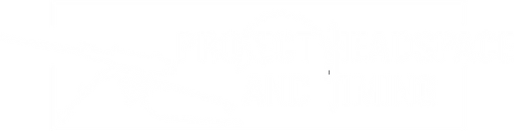 Project Headspace and Timing